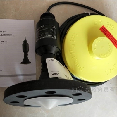 PSWL61.CXBXXHKAX EGA Radar VEGAPULS WL 61 Serie Ideal für die Messung von Wasser und Abwasser